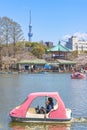 Pink boat pedalo and cherry blossoms in the Shinobazu pond of Ueno.