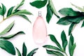 Pink bottle of women`s perfume and green leaves on white background. Natural gentle fragrance for women. Top view, flat Royalty Free Stock Photo