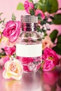 Pink bottle of women`s perfume and peony flowers on a pink background. A gentle spring fragrance for women Royalty Free Stock Photo