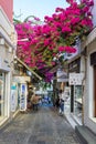 Pink bougainvillea flowers in bloom on a quiet street. Photo taken in Fira town on Santorini island in Greece.