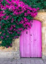 Pink bougainvillea flowers and old wooden door in Cyprus Royalty Free Stock Photo