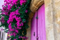 Pink bougainvillea flowers and old wooden padlocked door on Cyprus street Royalty Free Stock Photo