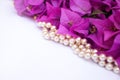 Pink bougainvillea flowers and pearls laid diagonally on a white