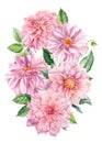 Pink Bouquet of wedding flowers, dahlias on an isolated white background, watercolor botanical painting, flora design Royalty Free Stock Photo