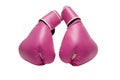 Pink Boxing Gloves Royalty Free Stock Photo