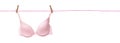 Pink bra hanging on a clothline