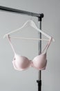 Pink bra hanging on a hanger. Textile, Underwear. Female bra in lingerie underwear store. Advertise, sale, fashion Royalty Free Stock Photo