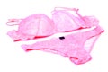 Pink bra and panty Royalty Free Stock Photo