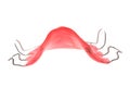 Pink braces isolated Royalty Free Stock Photo