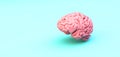 pink brain on blue background