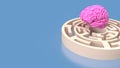 The pink Brain in maze for Brain training concept 3d rendering