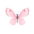 Pink bright watercolor butterfly