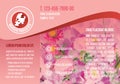 Pink A4 brochure template, red flower logo with demo text, floral icon flyer, flora textbox purple landscape banner.