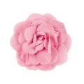 Pink brooch flower isolated on white