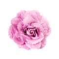 Pink brooch flower isolated on white background
