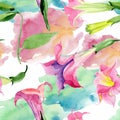 Pink brugmansia floral botanical flowers. Watercolor background illustration set. Seamless background pattern.