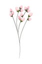 Pink buds flowers bouquet painting vector design