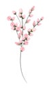 Pink buds flowers bouquet painting vector design