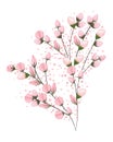 Pink buds flowers bouquet painting vector design