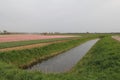 A pink tulip field with a broad ditch in front