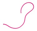 Pink bungee cord length on a white background