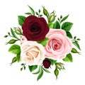 Pink, burgundy and white roses. Vector illustration.