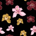 Pink burgundy yellow orchid Phalaenopsis floral seamless pattern.