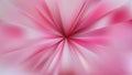 Pink Burst Background