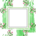 Pink bush roses floral botanical flowers. Watercolor background illustration set. Frame border ornament square. Royalty Free Stock Photo