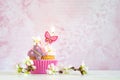 Pink butter-cream cupcake with flower and candle Royalty Free Stock Photo