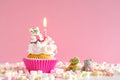 Pink butter-cream cupcake with marshmallow and candle Royalty Free Stock Photo