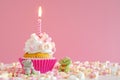 Pink butter-cream cupcake with marshmallow and candle Royalty Free Stock Photo