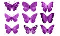 Pink butterflies isolated on white background. tropical moths. insects for design. watercolor paints