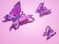 Pink butterflies on a pink wall