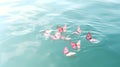 Pink butterflies on surface of water. Concept of butterfly effect