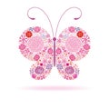 Pink butterfly