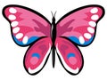 Pink butterfly