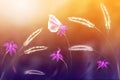 Pink butterfly against a background of wild flowers in purple and yellow tones. Artistic image. Soft focus