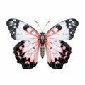 Hyper-realistic Pink Butterfly Illustration On White Background