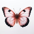 Pink Wing Butterfly: Hyper-realistic Artwork On White Background