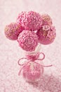 Pink cake pops Royalty Free Stock Photo