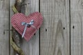 Pink calico heart hanging on honey locust tree with wood background Royalty Free Stock Photo