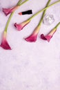 Pink Calla Lily on a marble background Royalty Free Stock Photo