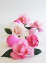 Pink Camelias with colored Easter eggs on white background with selective focus, shallow depth of field