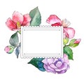 Pink camellia. Floral botanical flower. Frame border ornament square.