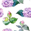 Pink camellia. Floral botanical flower. Seamless background pattern.