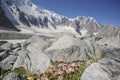 Foothill of Beluha mountain. Altai.