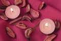 Pink candles Royalty Free Stock Photo