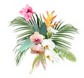 Pink canna flower, white and striped orchid, calla lily, yellow bird of paradise, tropical leaves design vector bouquet Royalty Free Stock Photo