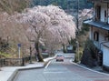 A pink car driving on a curvy country road under a flourishing cherry blossom tree Sakura in Minobu, Yamanashi, Japan